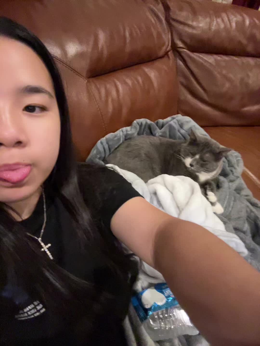 @dihstina