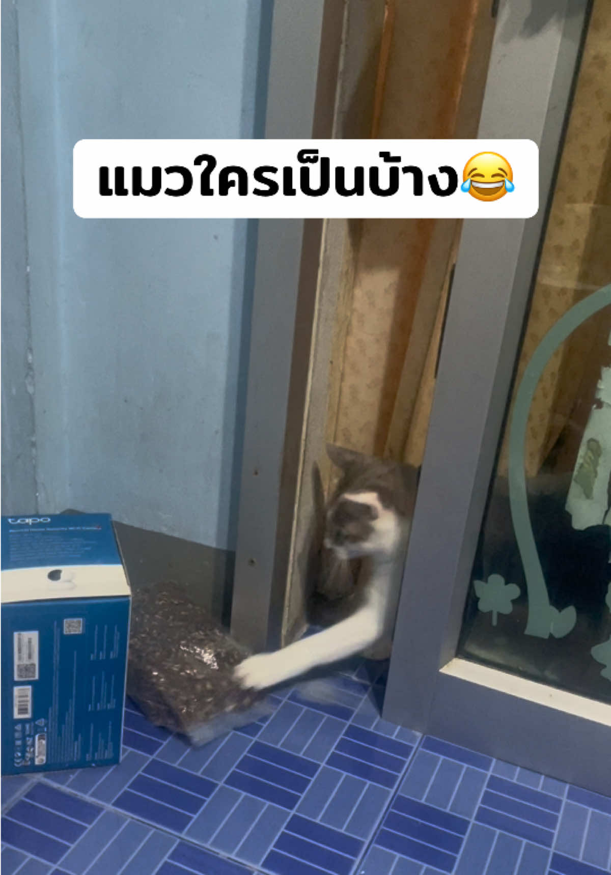 @Ddough_ดีโดว