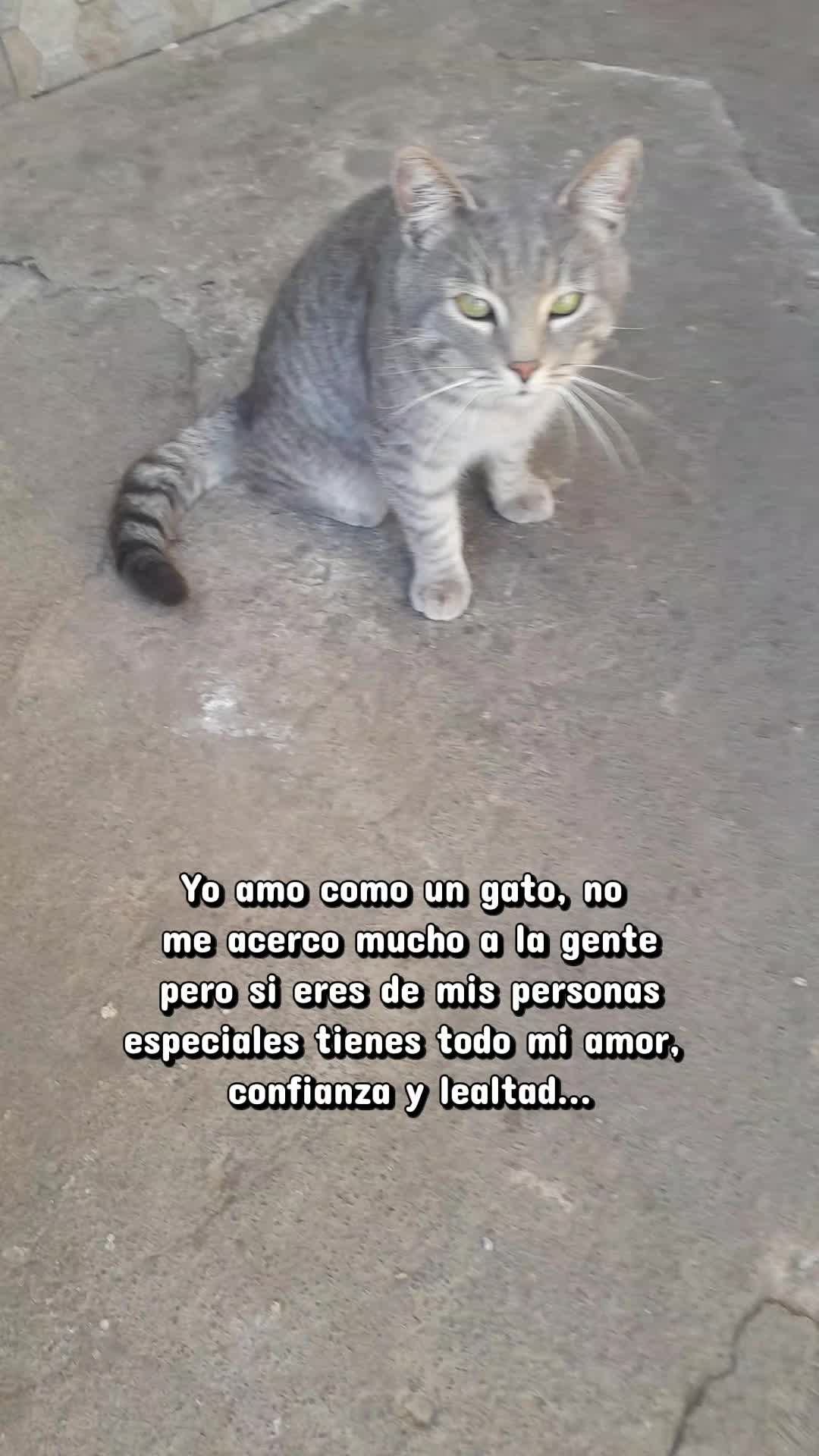 @&bull;Estefania&bull;