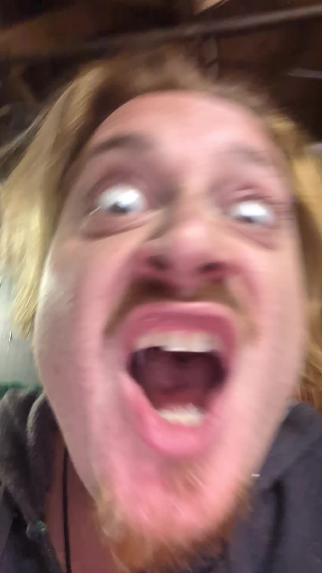 @LemonSpark