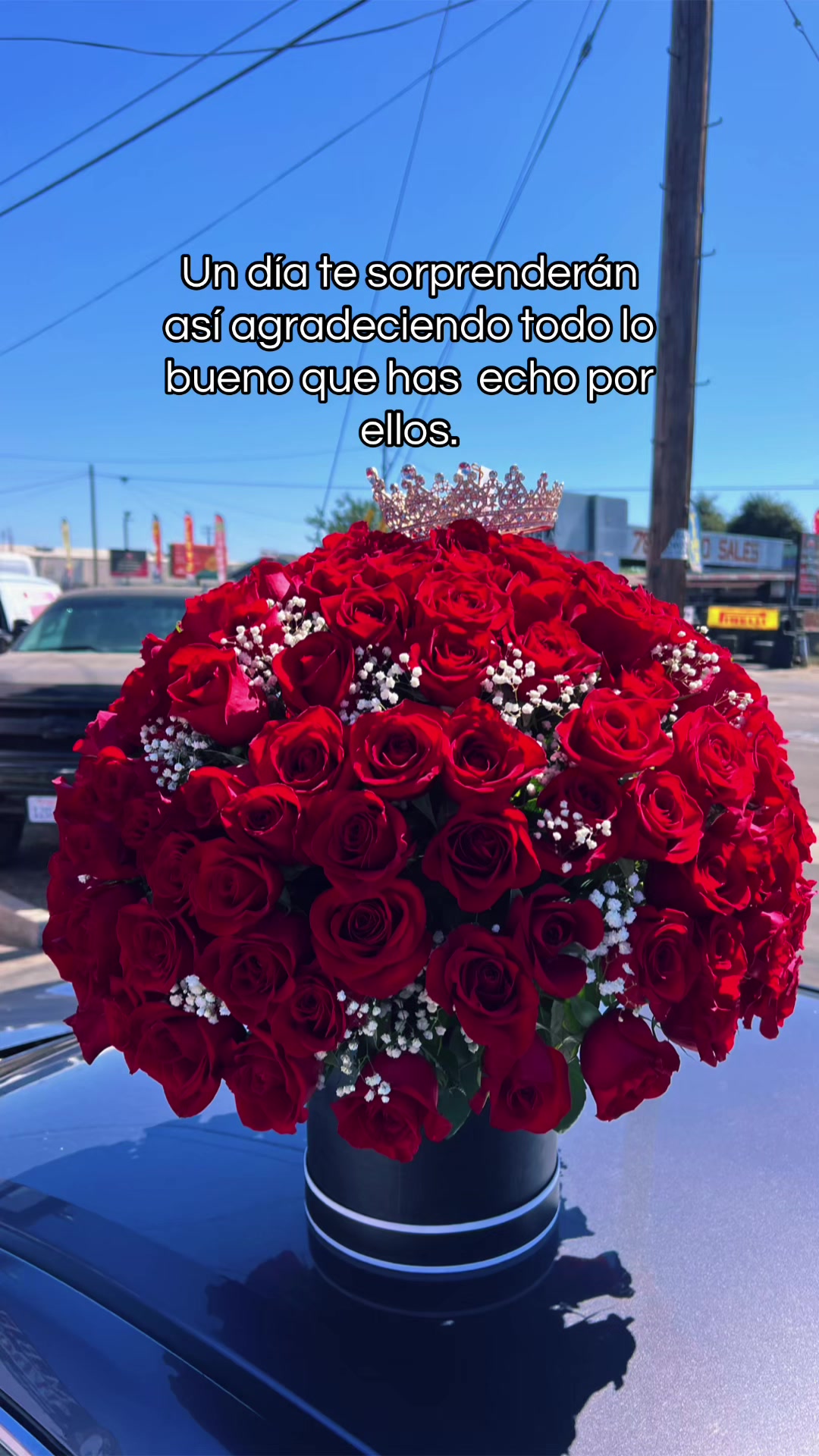@🌹✨YIO✨👨🍳❤️🔥