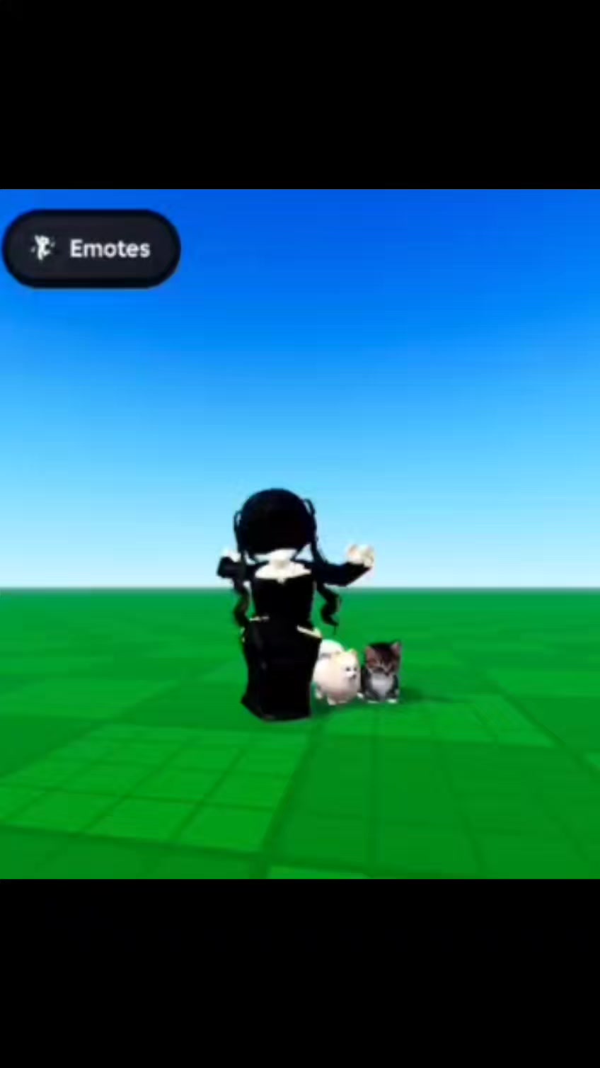@Roblox_by_R2