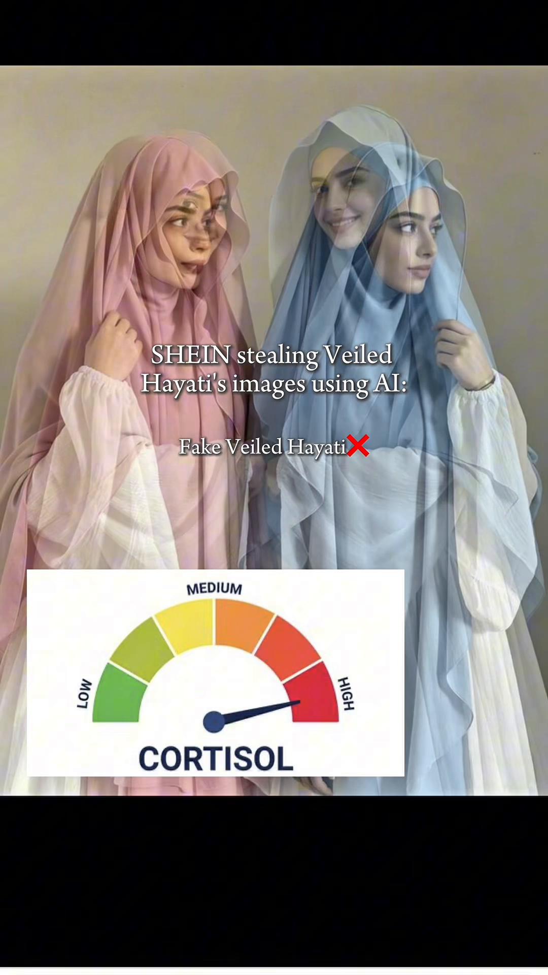 @𝒱𝑒𝒾𝓁𝑒𝒹 𝐻𝒶𝓎𝒶𝓉𝒾 &reg;