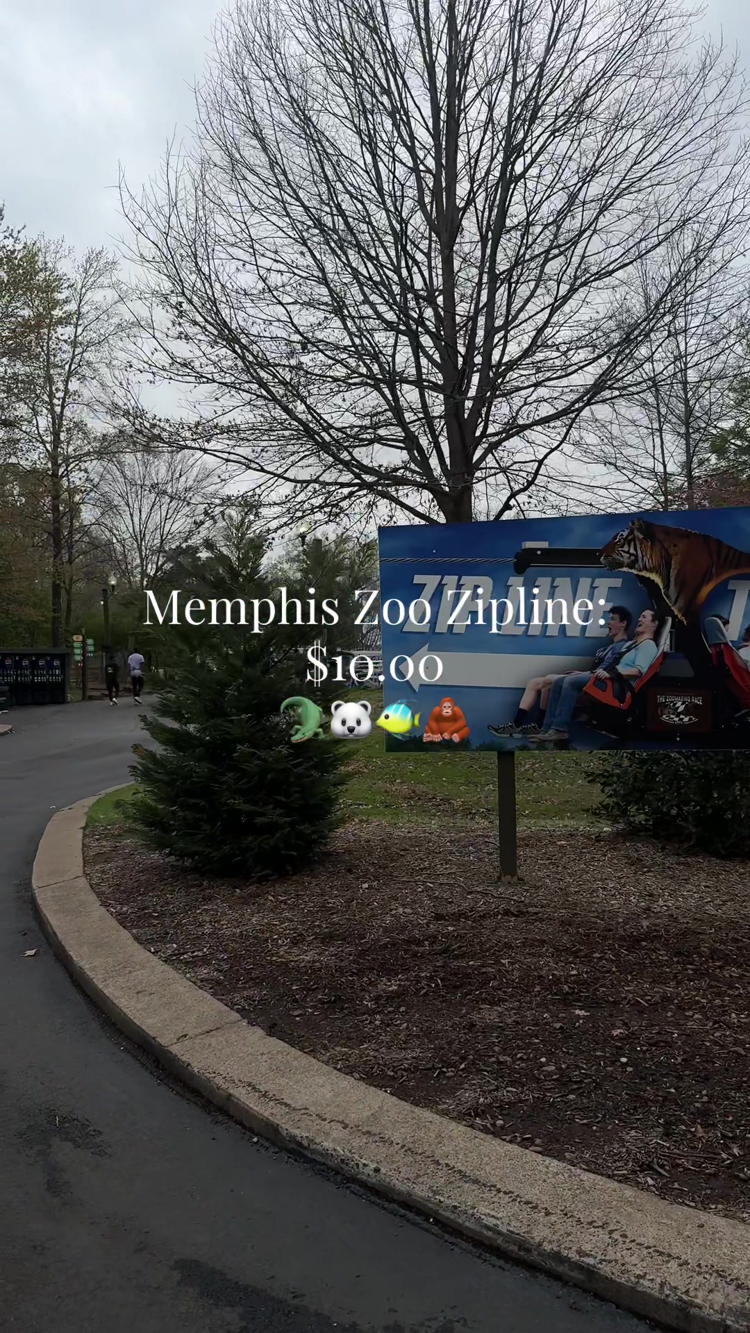 @Dessi | Thrift + Lifestyle ๐