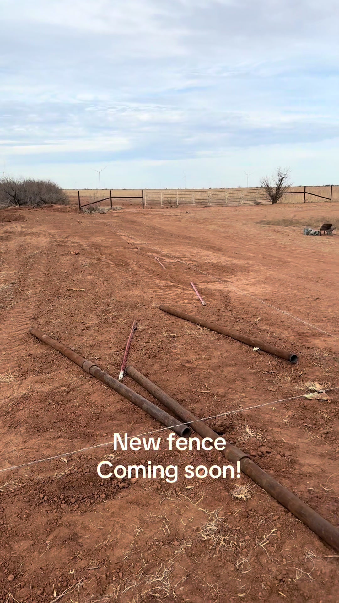 @Carolyn Halsell Smea