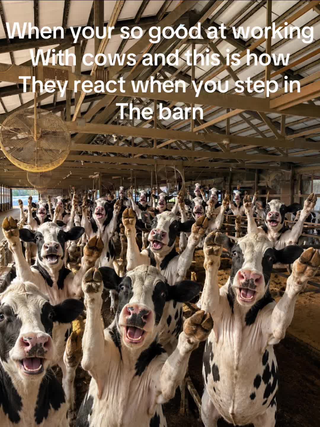 @Pingrey Family Farm LLC
