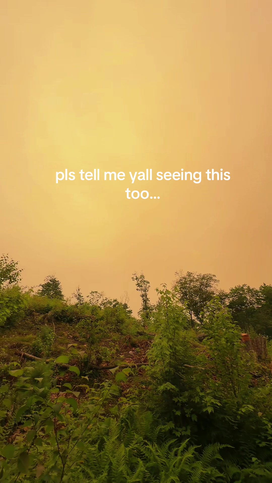 @safiya🐆