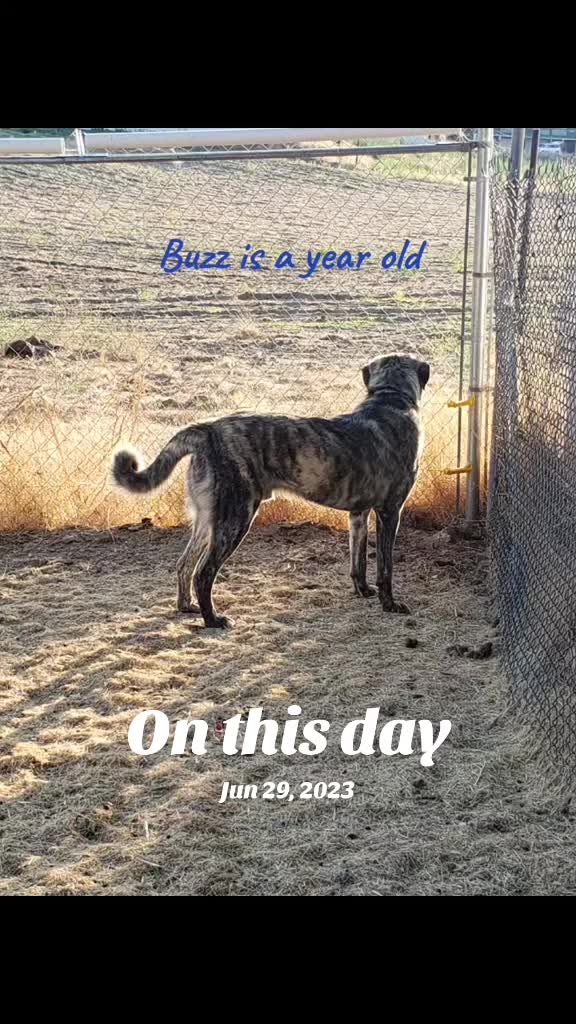 @VioletHorizonsFarm