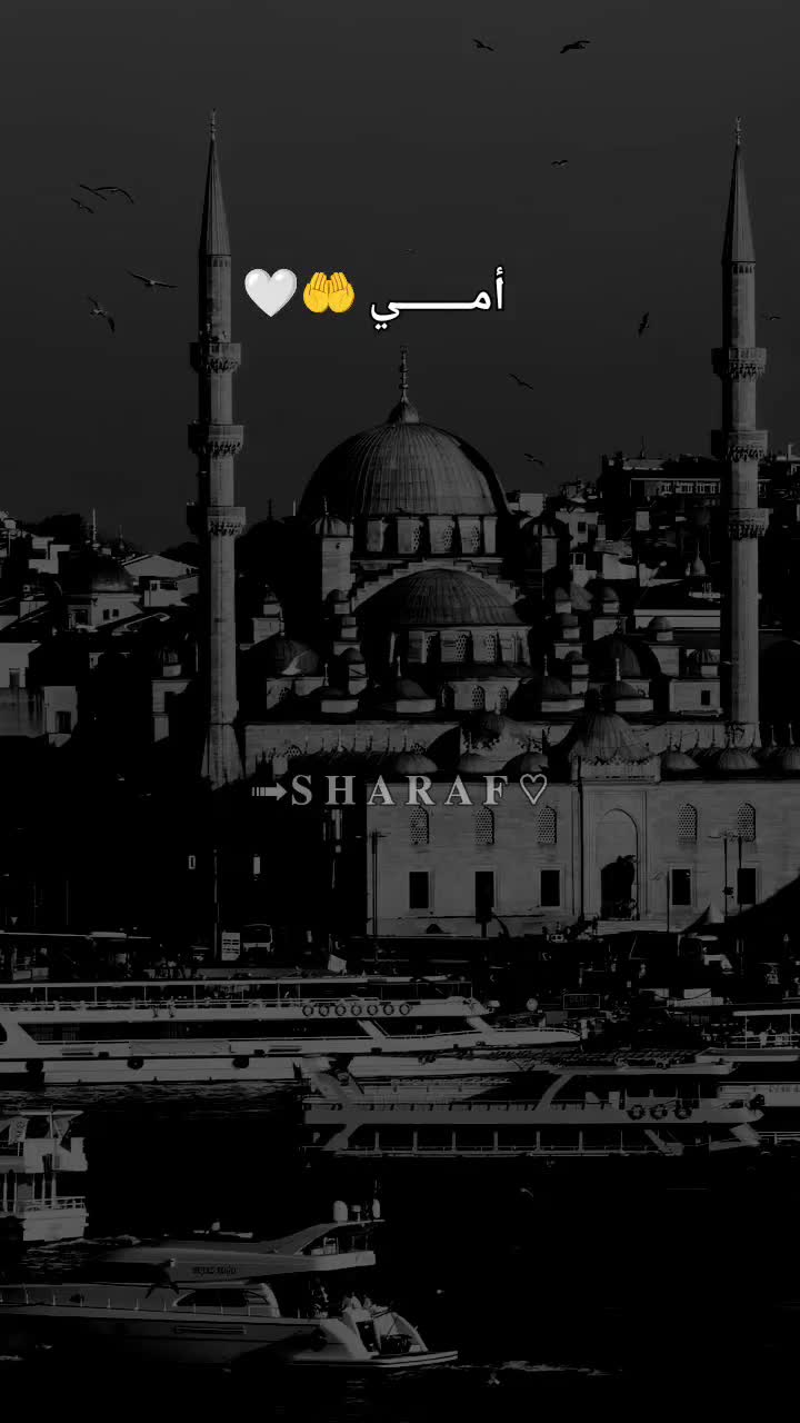 @ﺳِﻧڪَࢪز ⁞ 𓆩¹🫧𝑺𝒏𝒊͢𝒌.