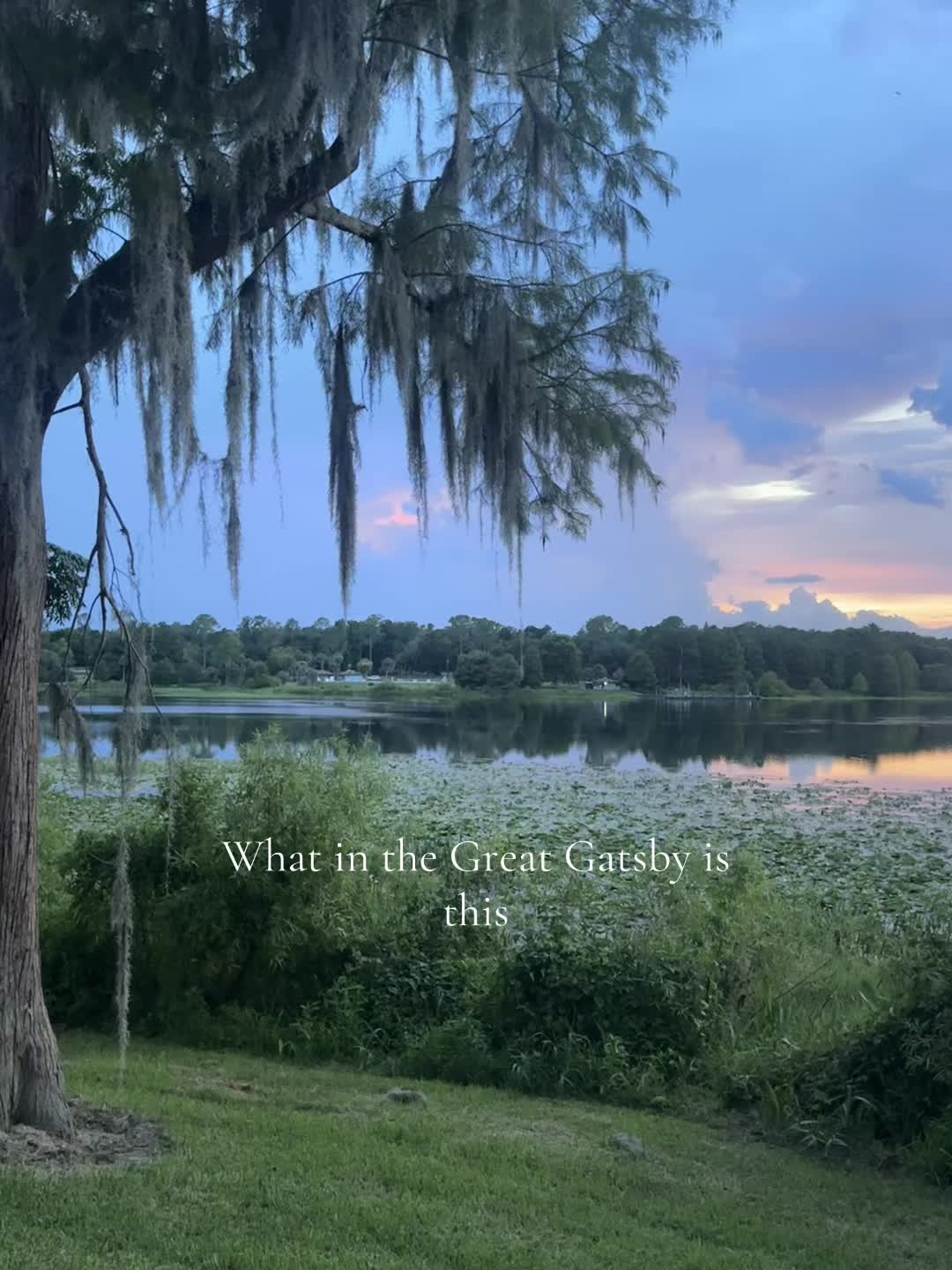 @lmcalegario