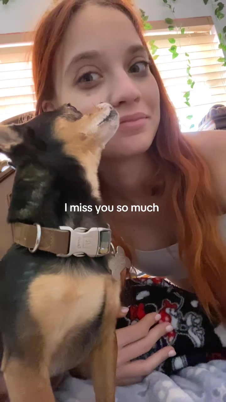 @vidadesusie