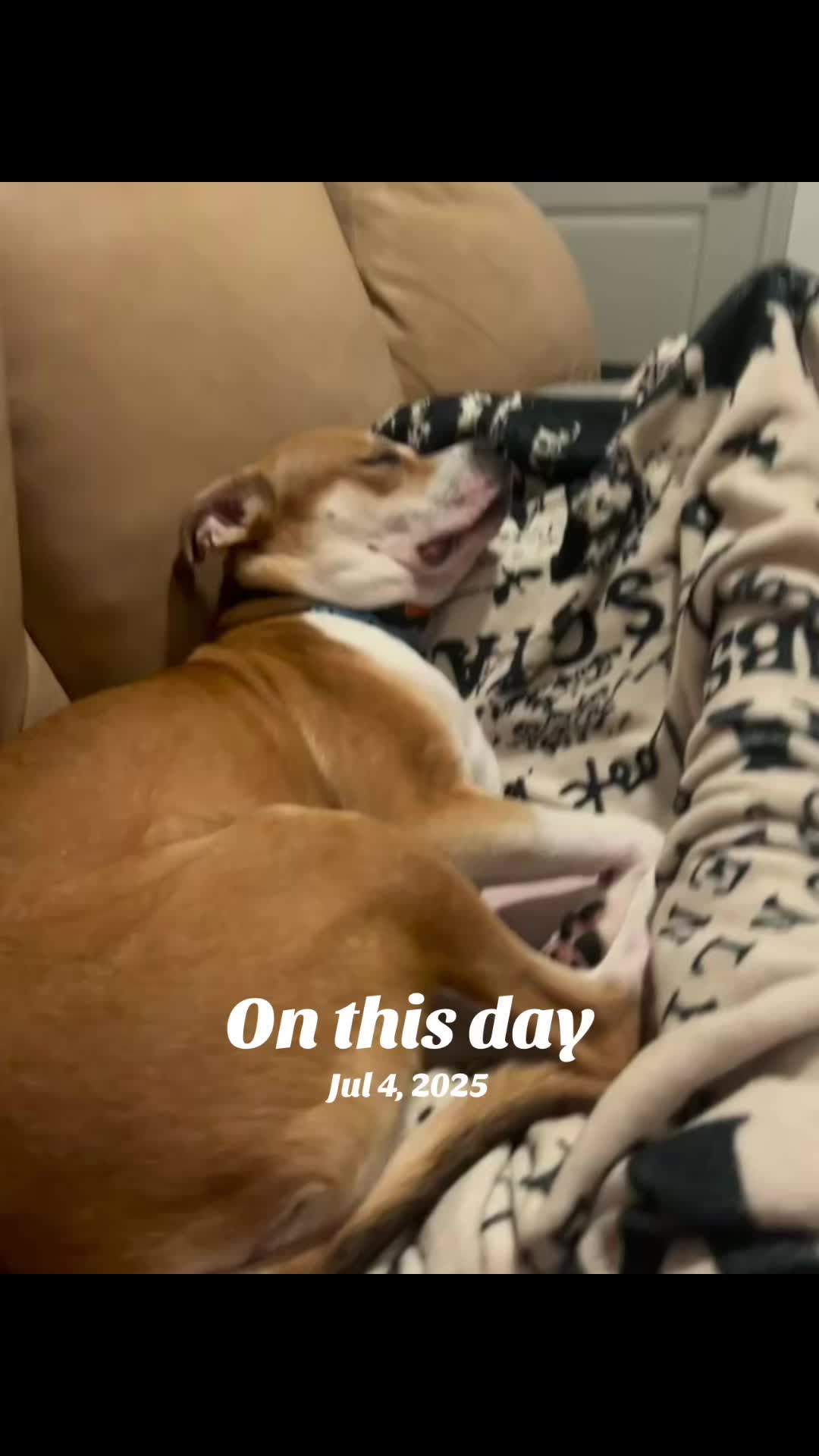 @Des C Hattaway