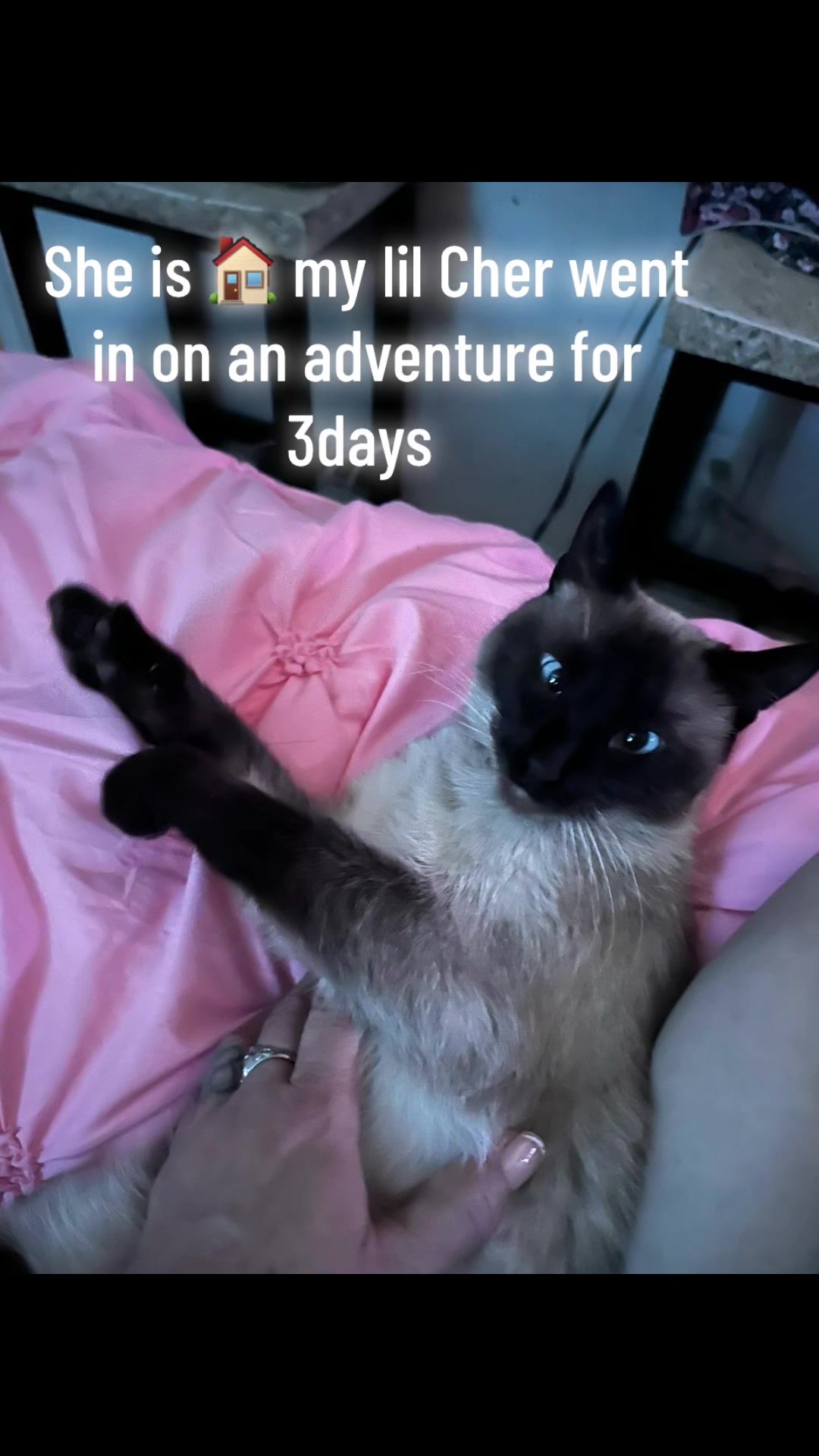 @myladymay1