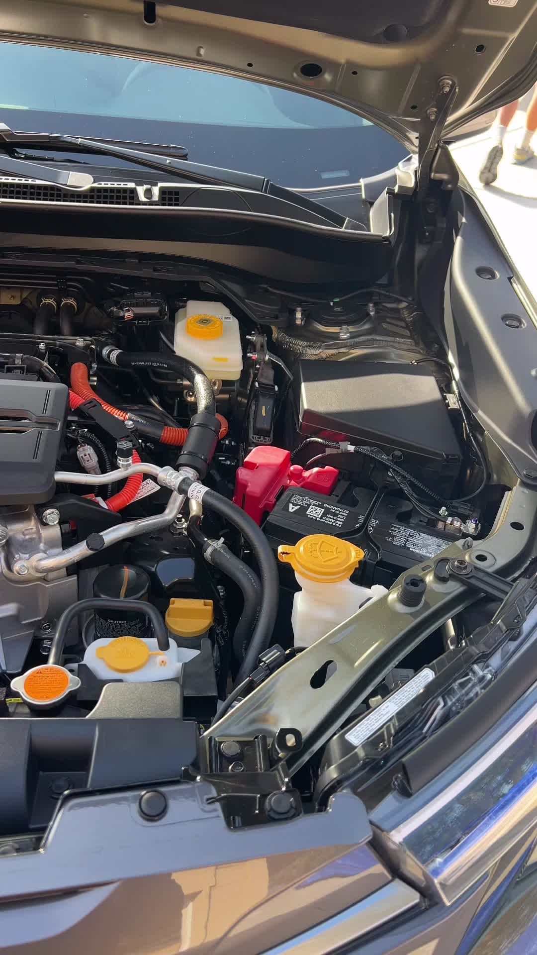 @gotdetail