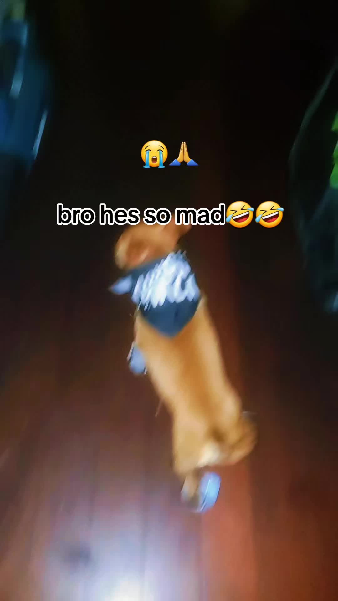 @xxx-Ilovestraykidsfelix-xxx𖣂