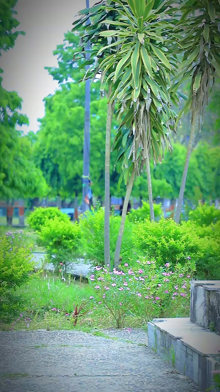 @ᴄʜᴇʀʀʏᥫ᭡ྀི🍒
