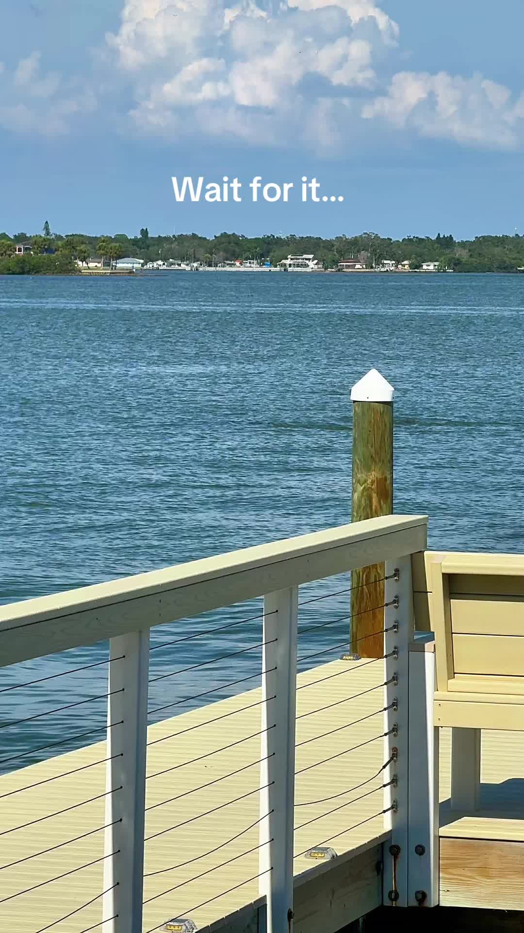 @Lisa Du | Coastal Comfort