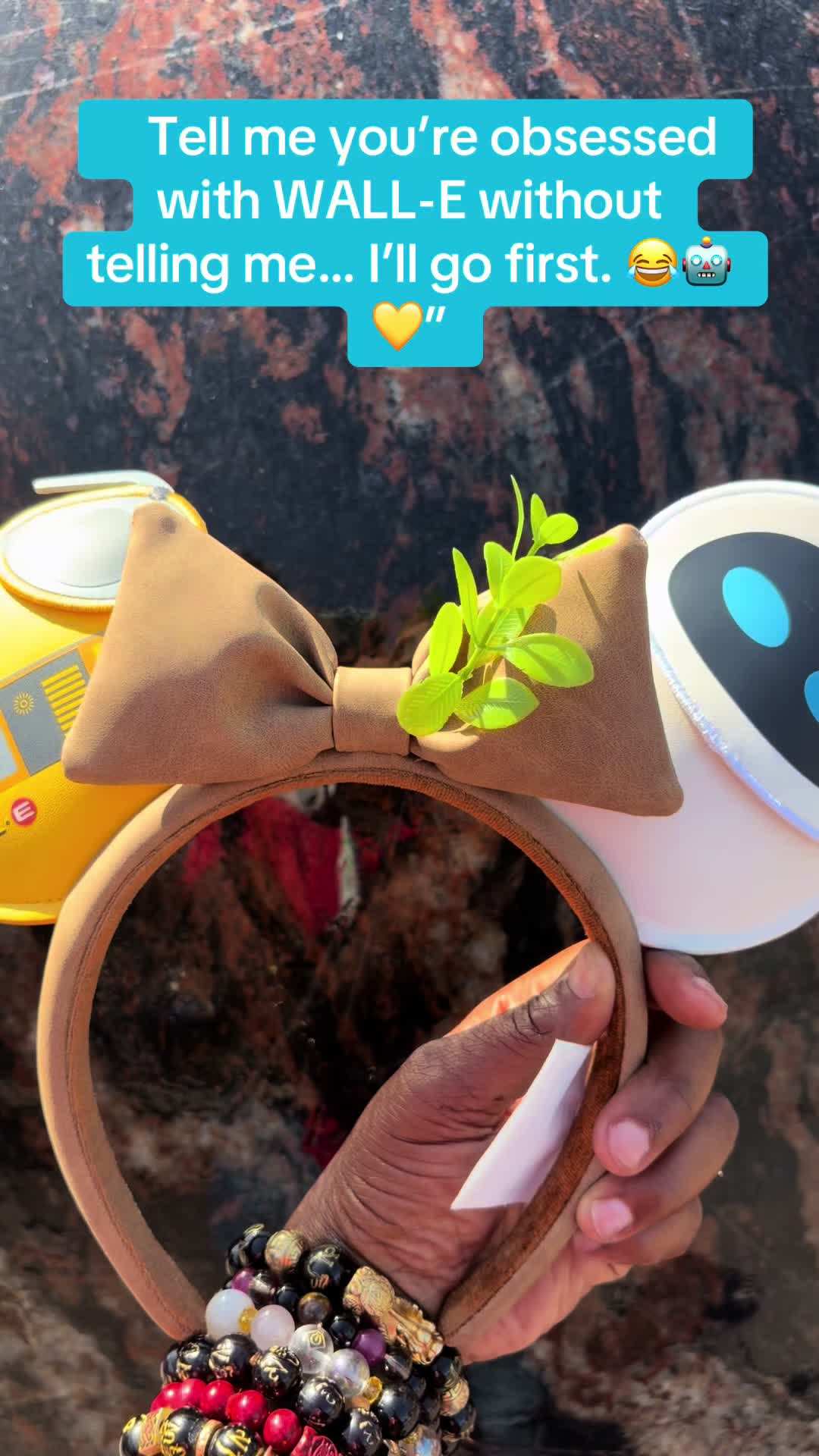 @tinarosethemeparklife