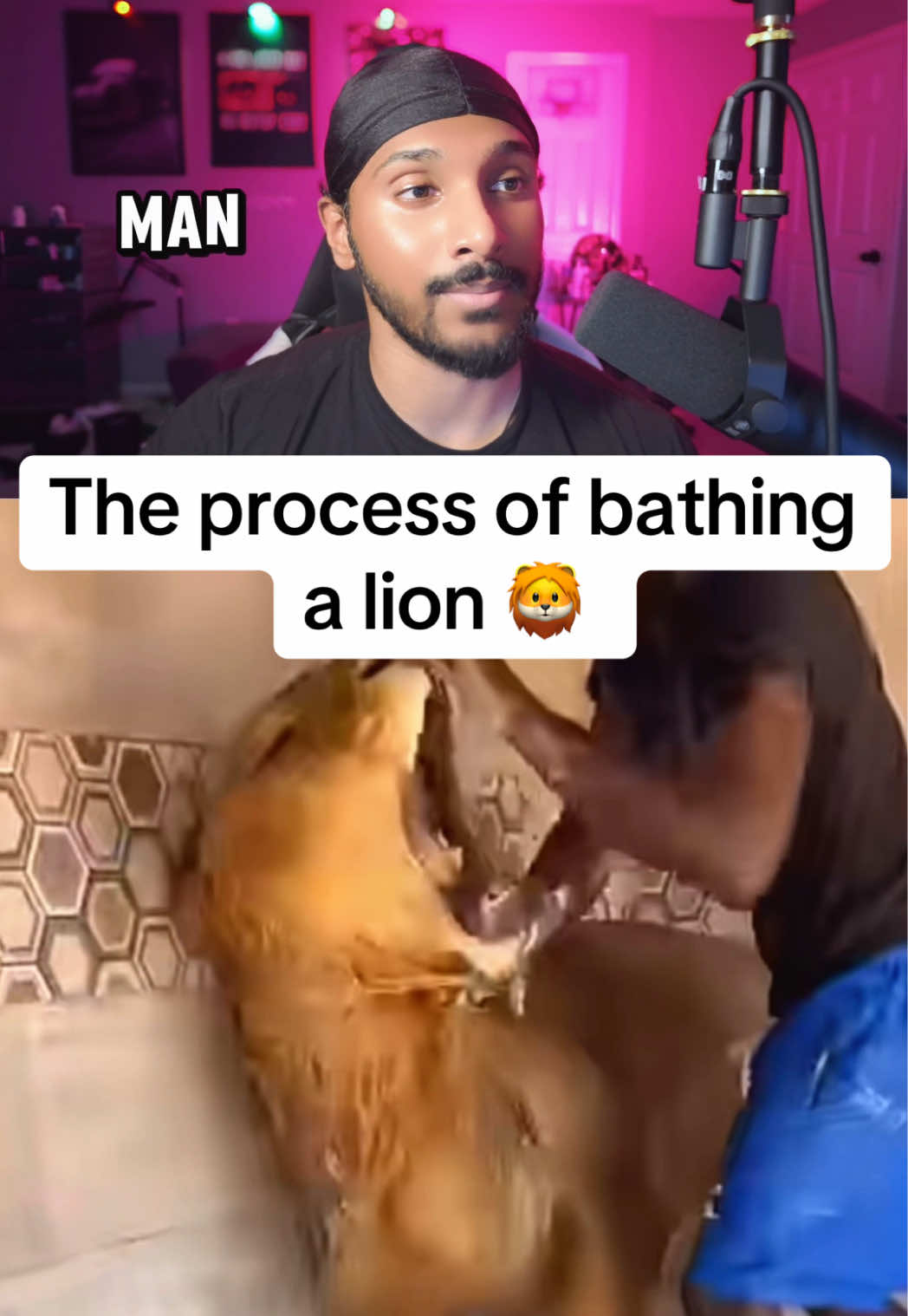 @Tiger