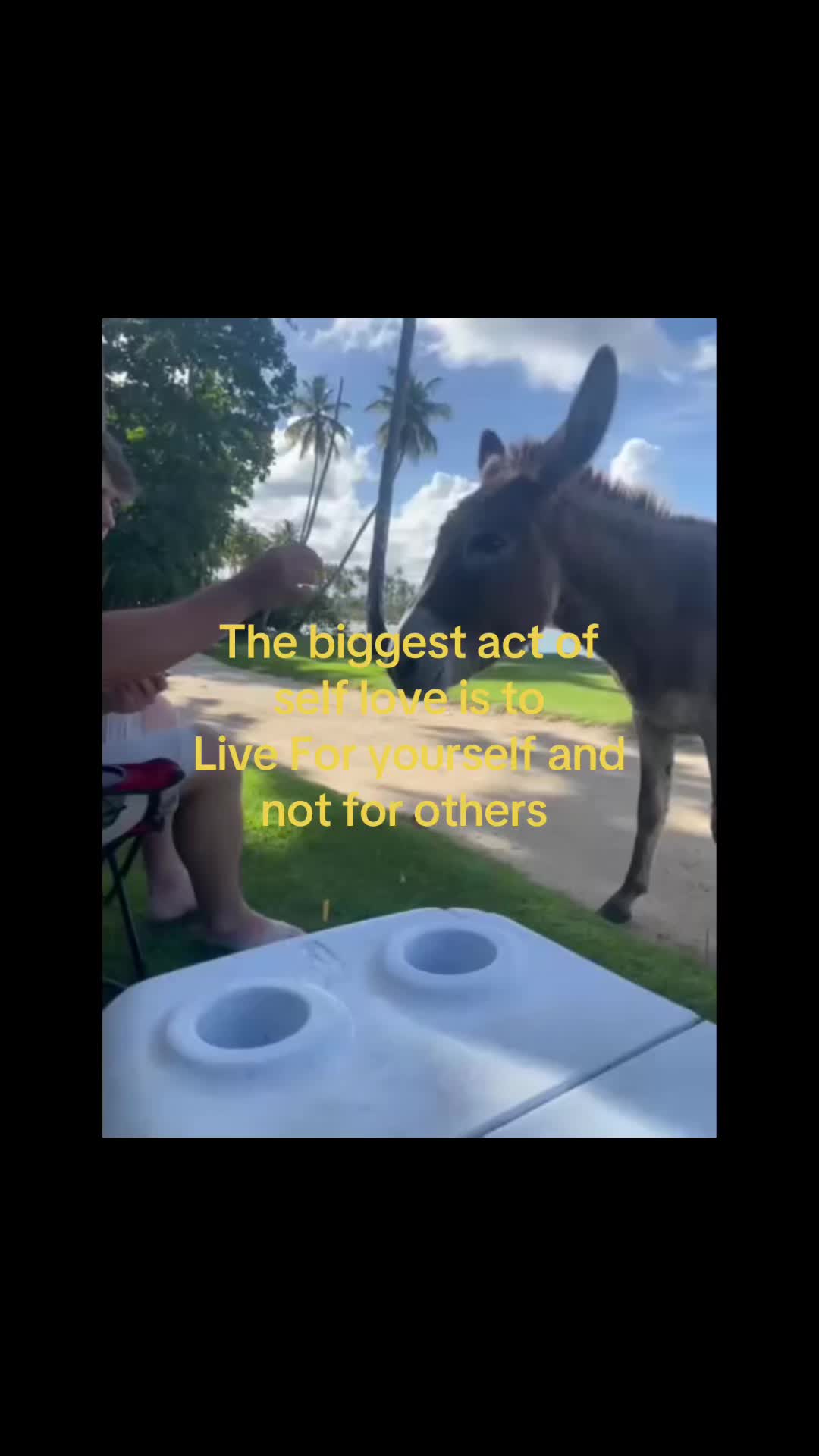 @Nay🐳🪼❄️🩵