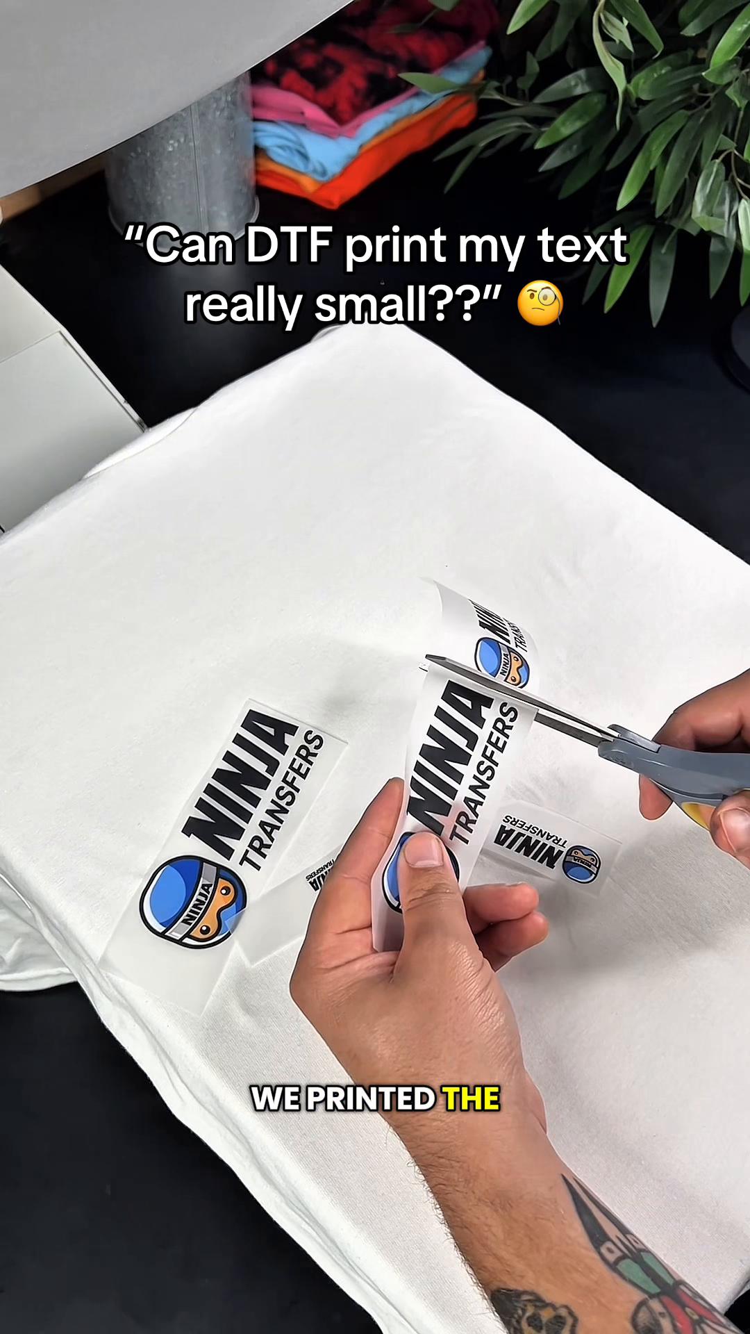 @Ninja Transfers