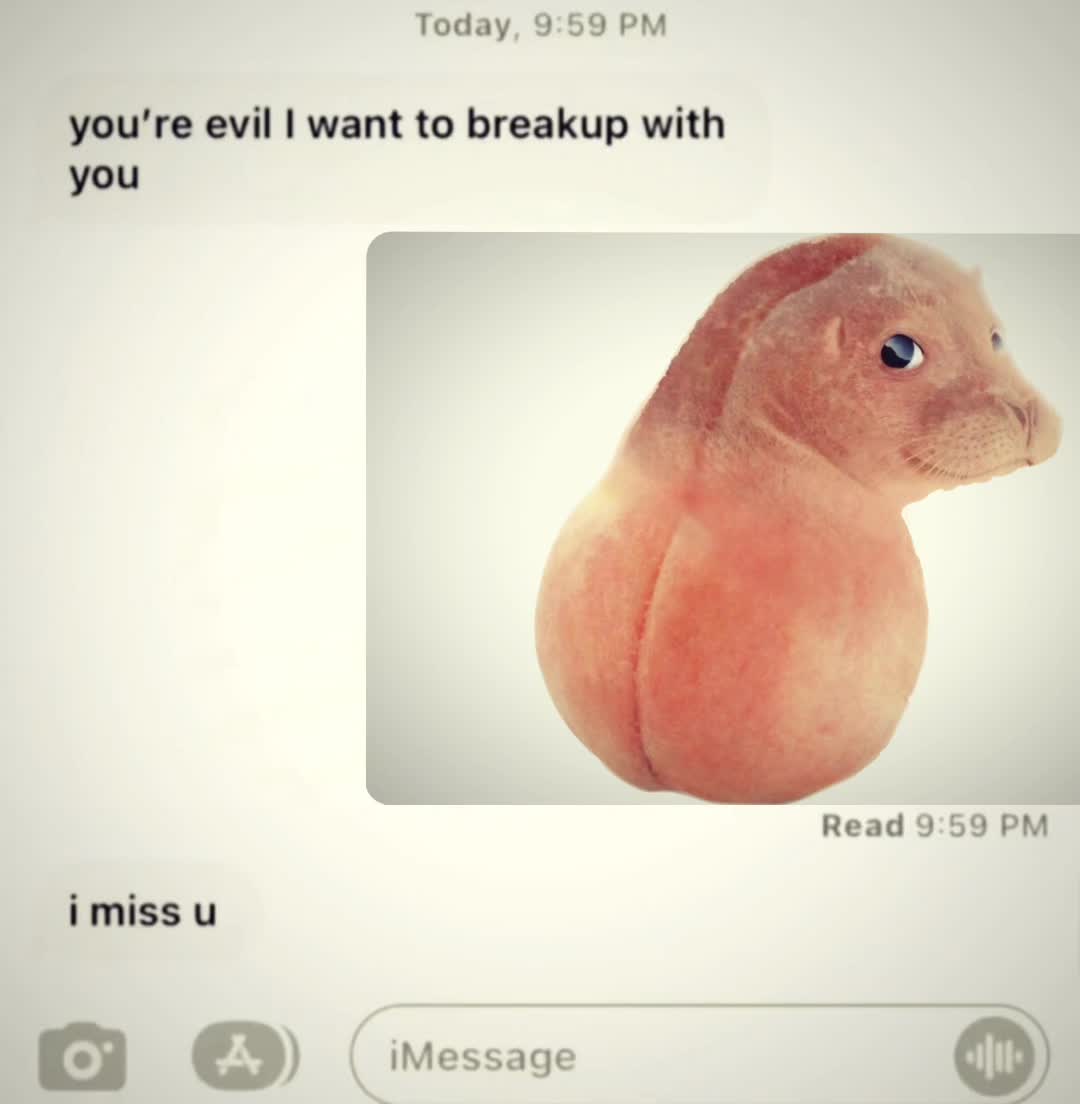 @🦠Moldy_Peach_Seal🦠