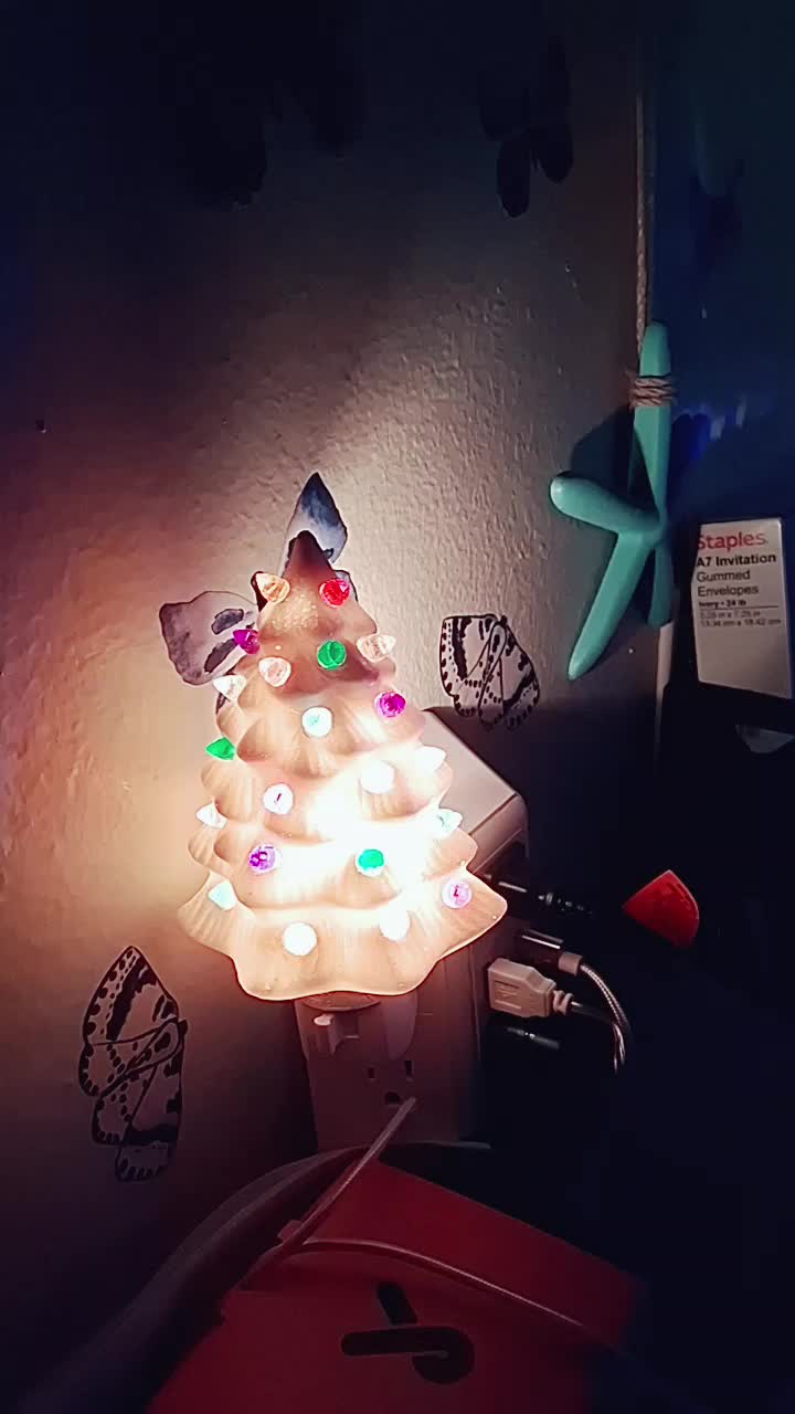 @✨️Nikkibaby ✨️
