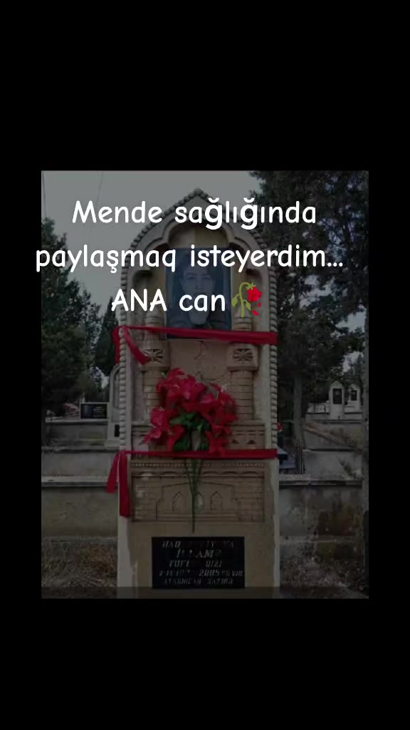 @narmin💜