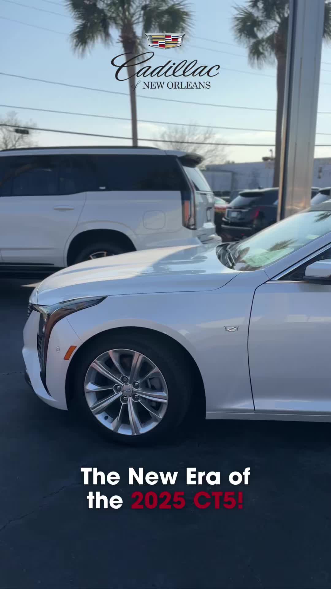 @Cadillac