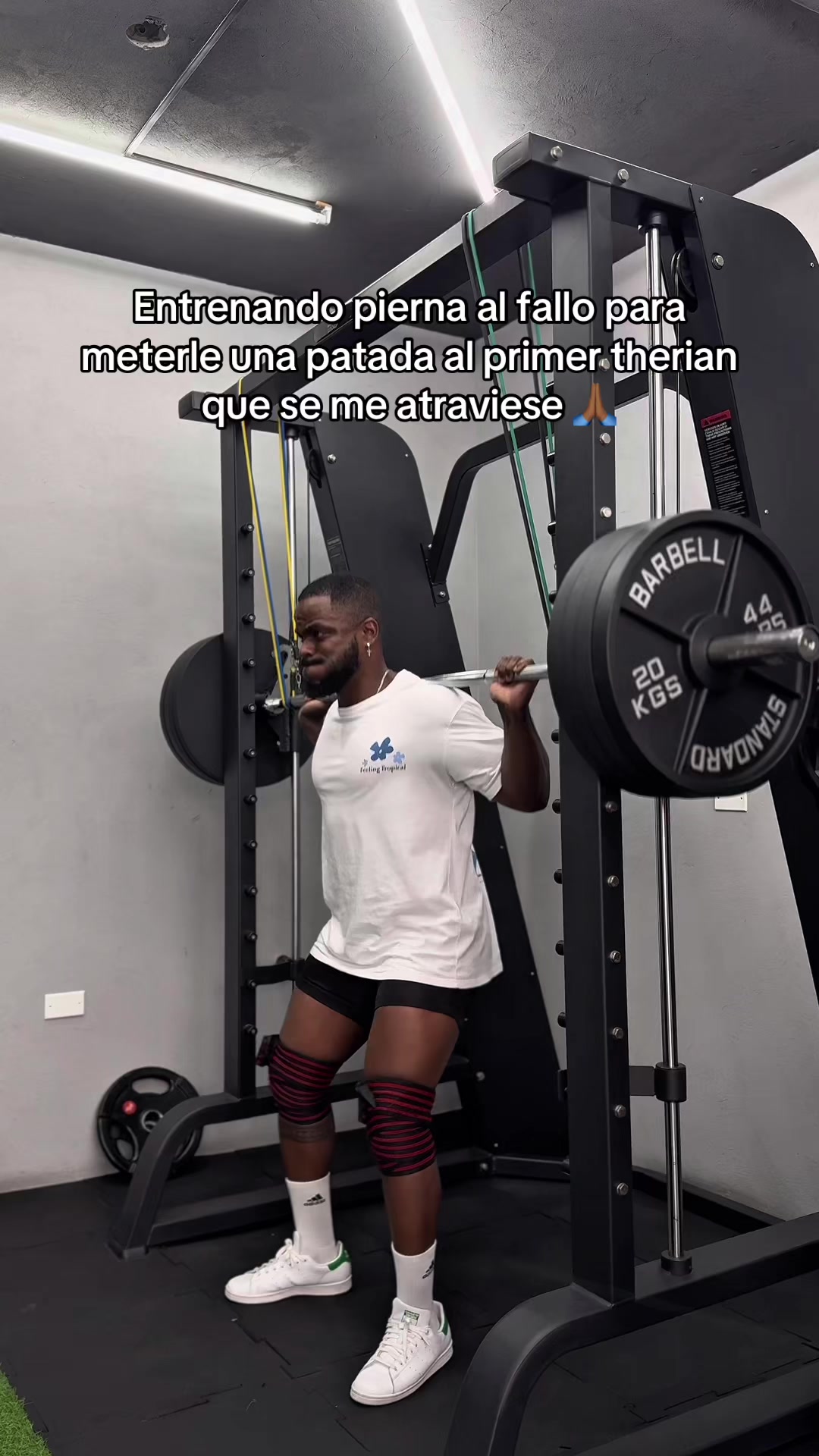 @Joni Cañolao