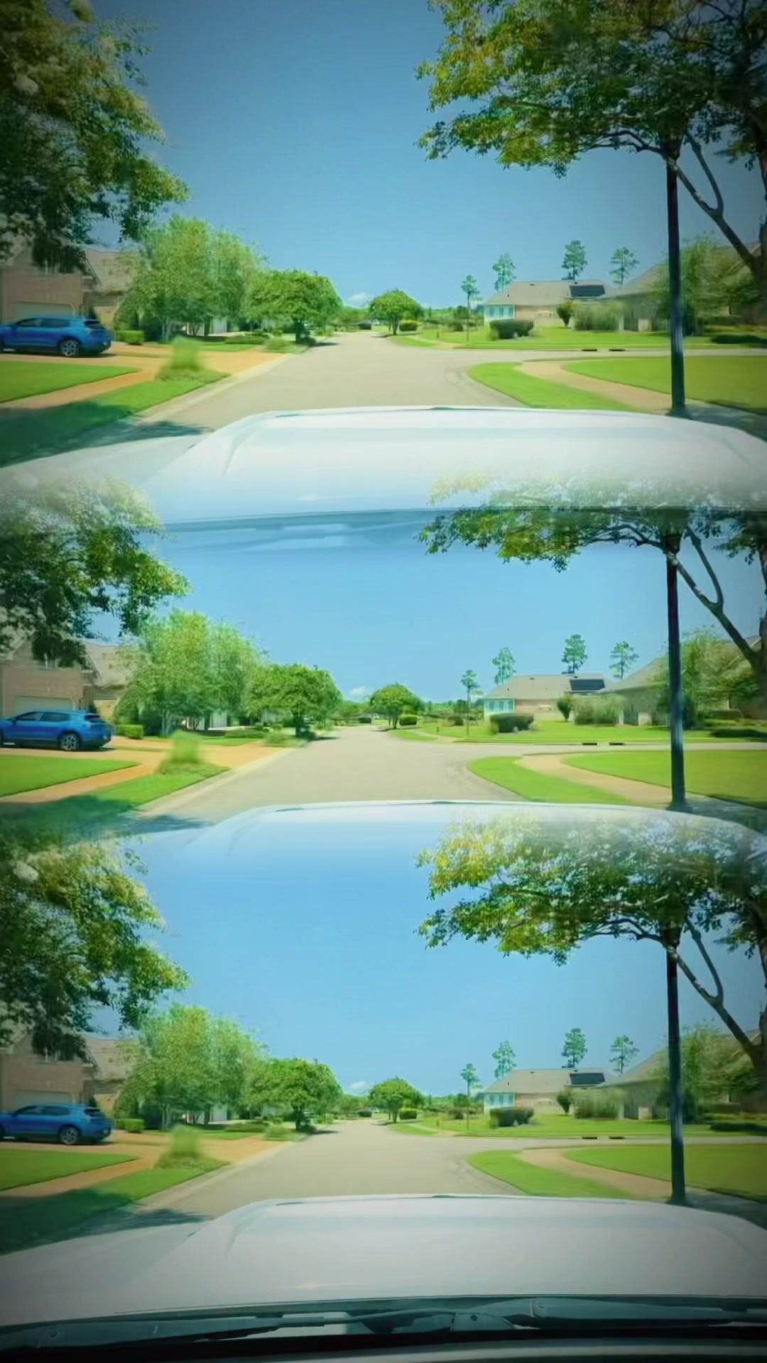 @move_expert_ilm