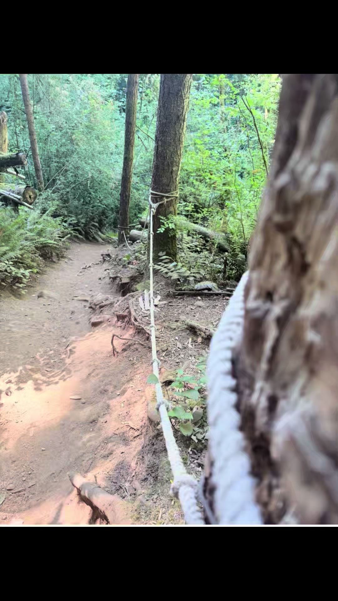 @wildernesswithangela