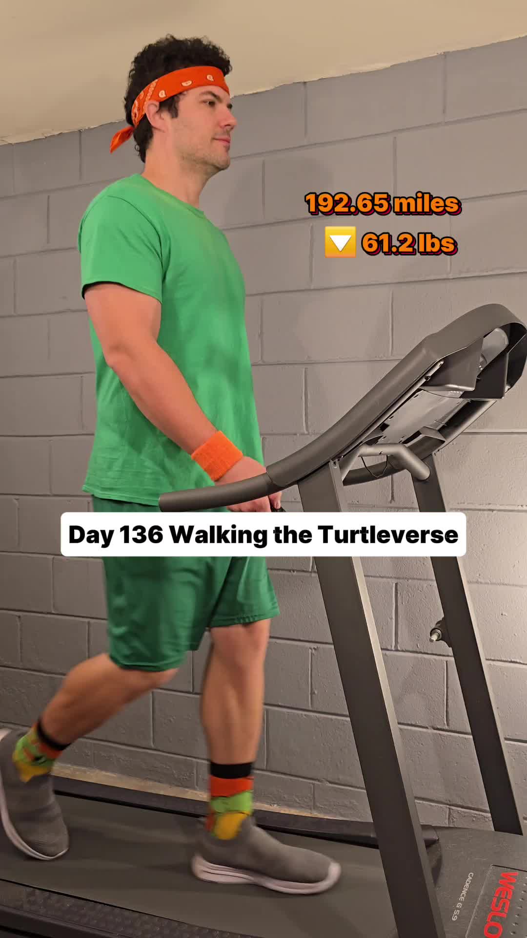 @Walking the Turtleverse