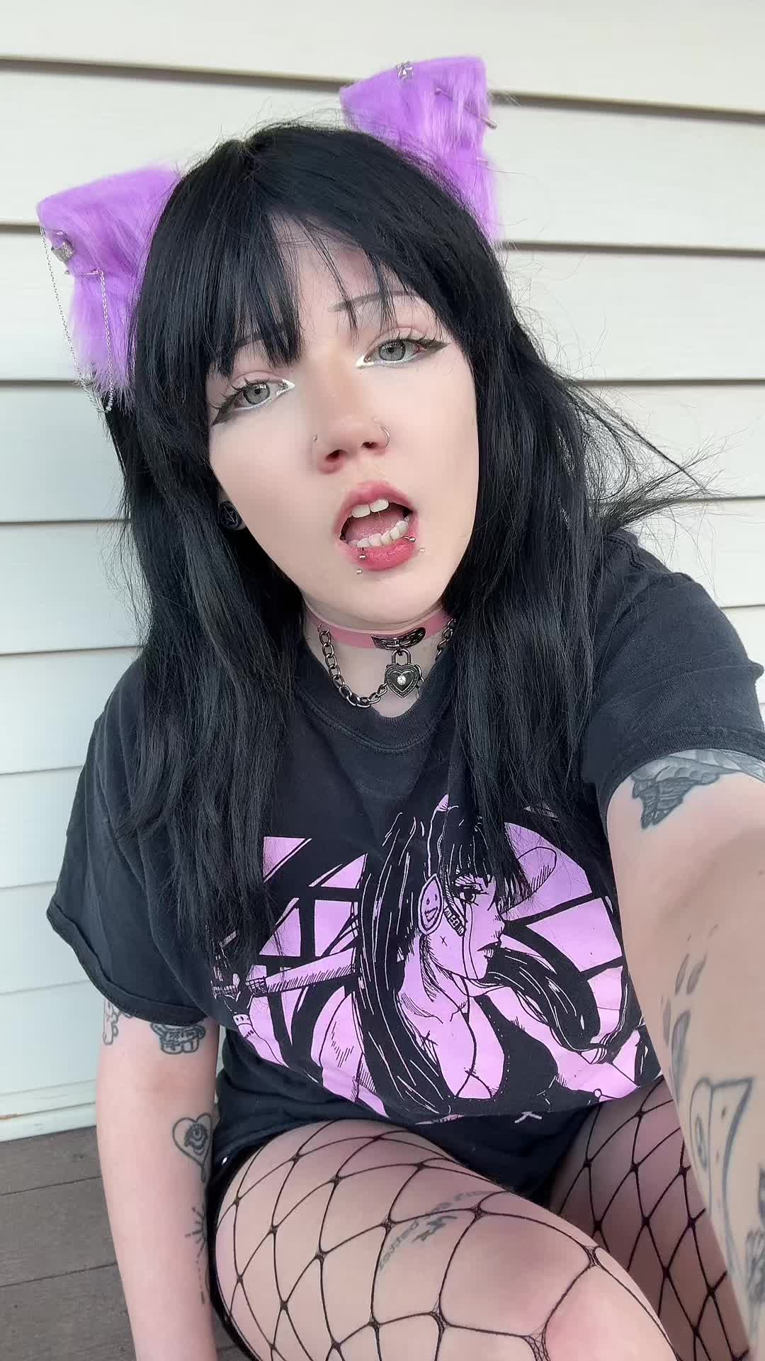@kitty