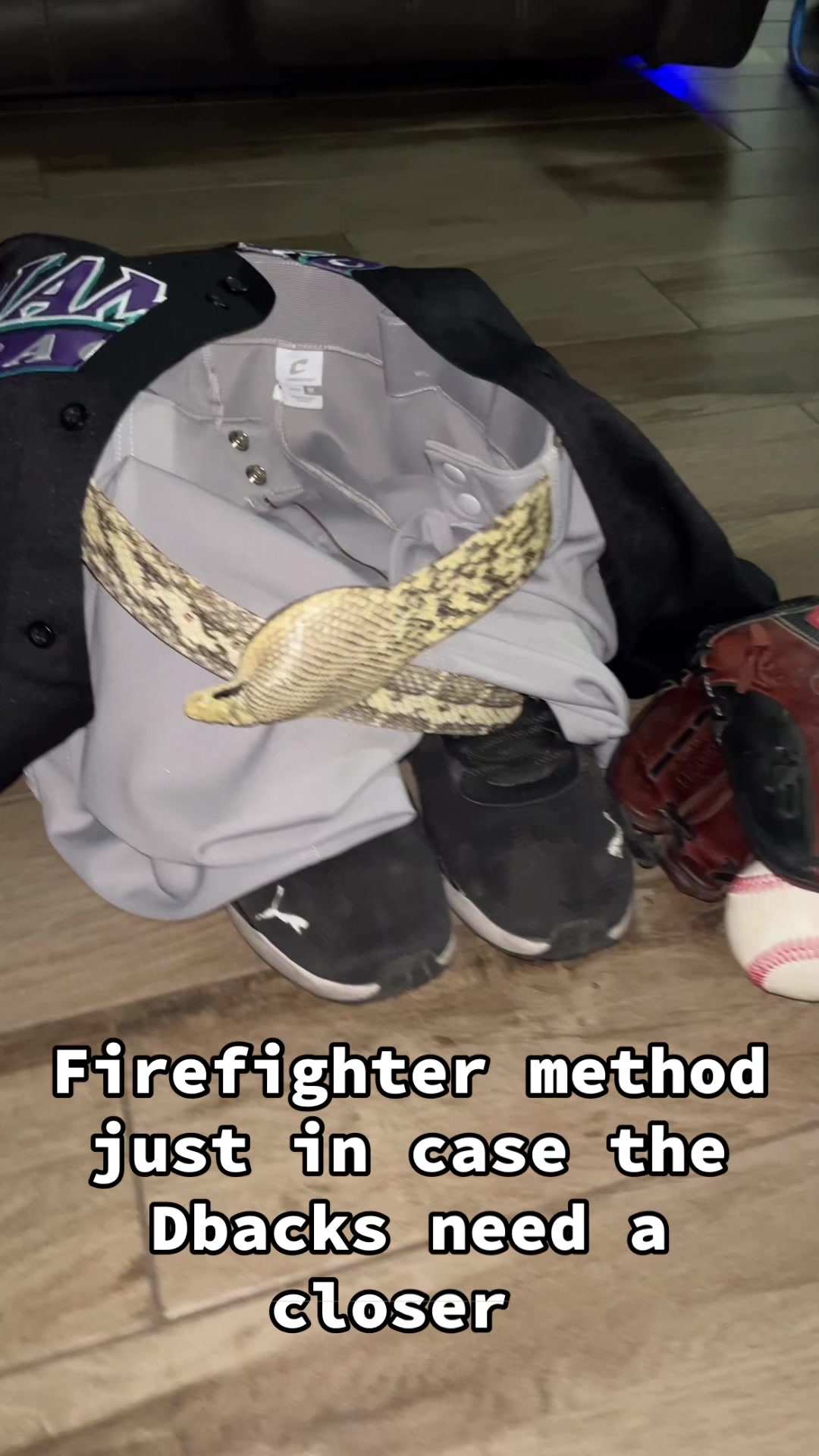 @6inchVick