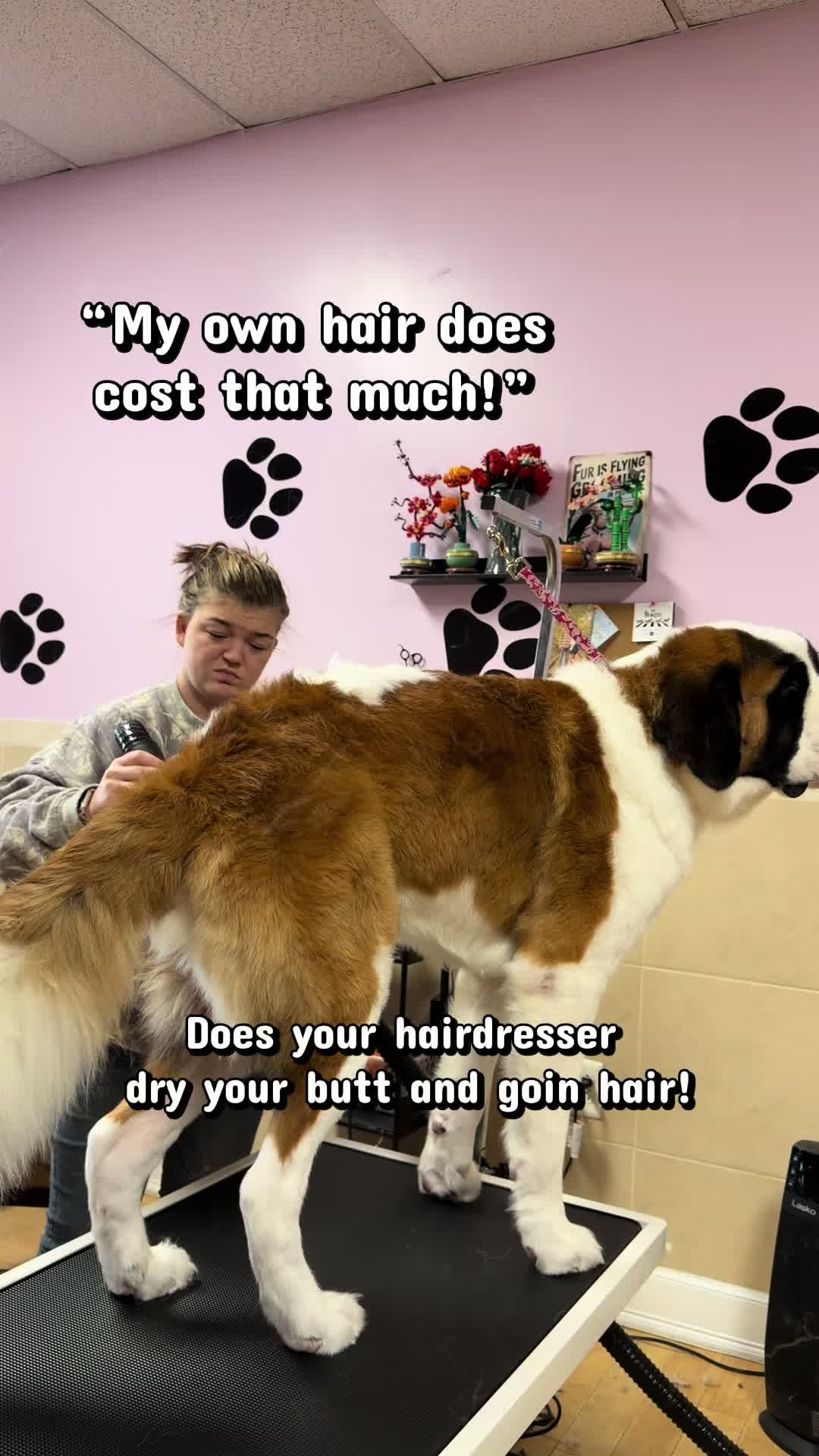 @Grooming By Tip Top