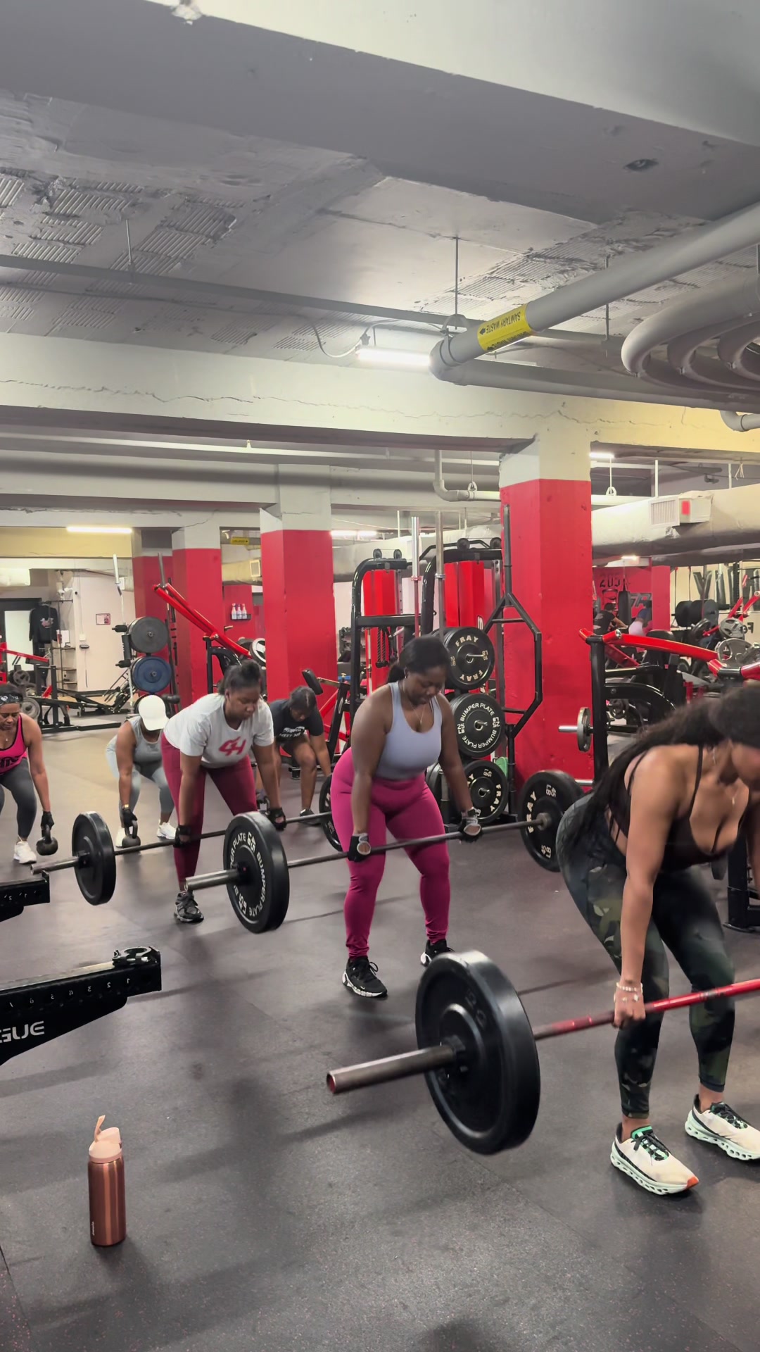 @thewaistedfitfactory