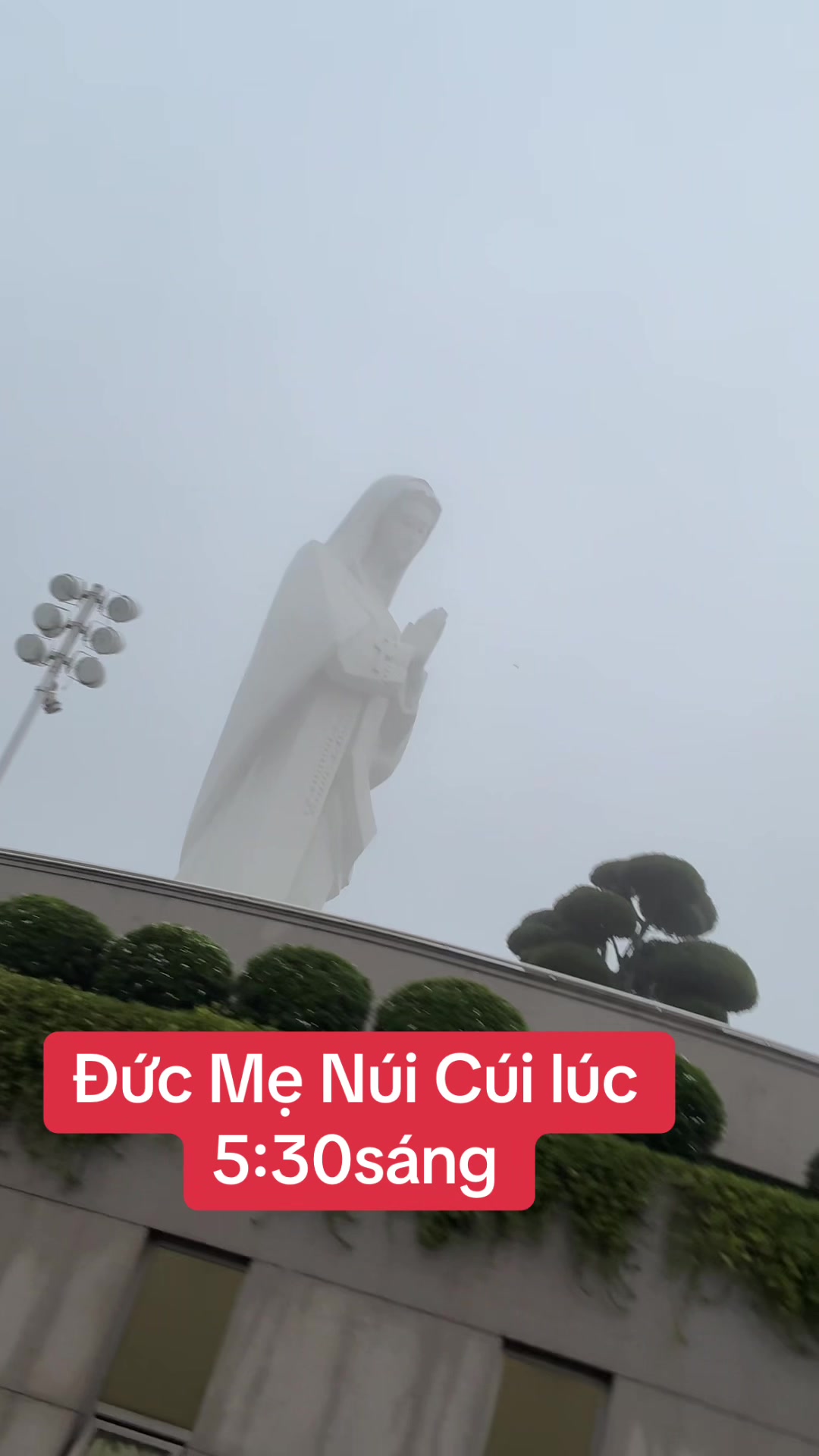 @Minh Du