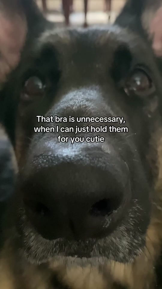 @Bhris
