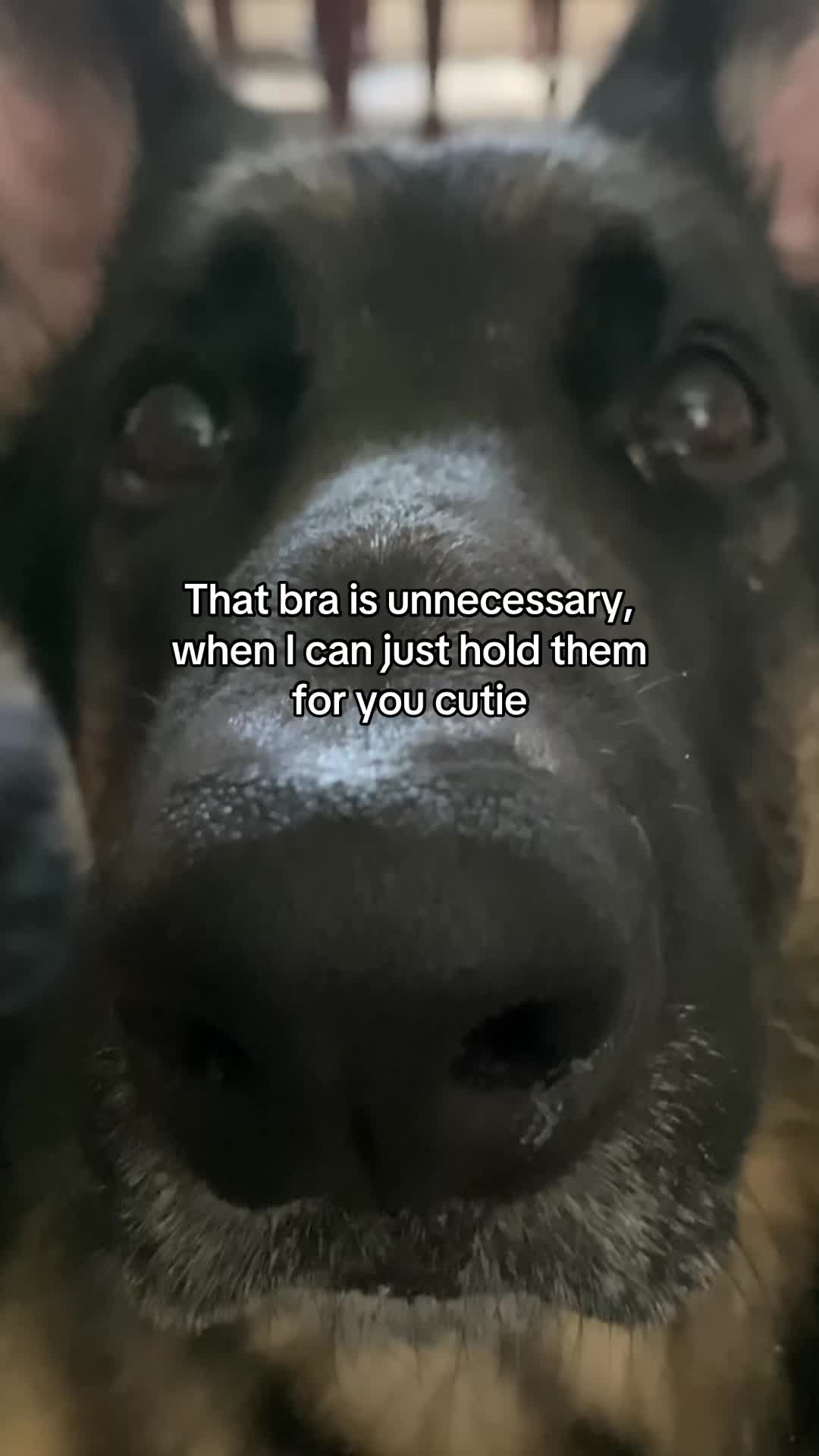 @Bhris