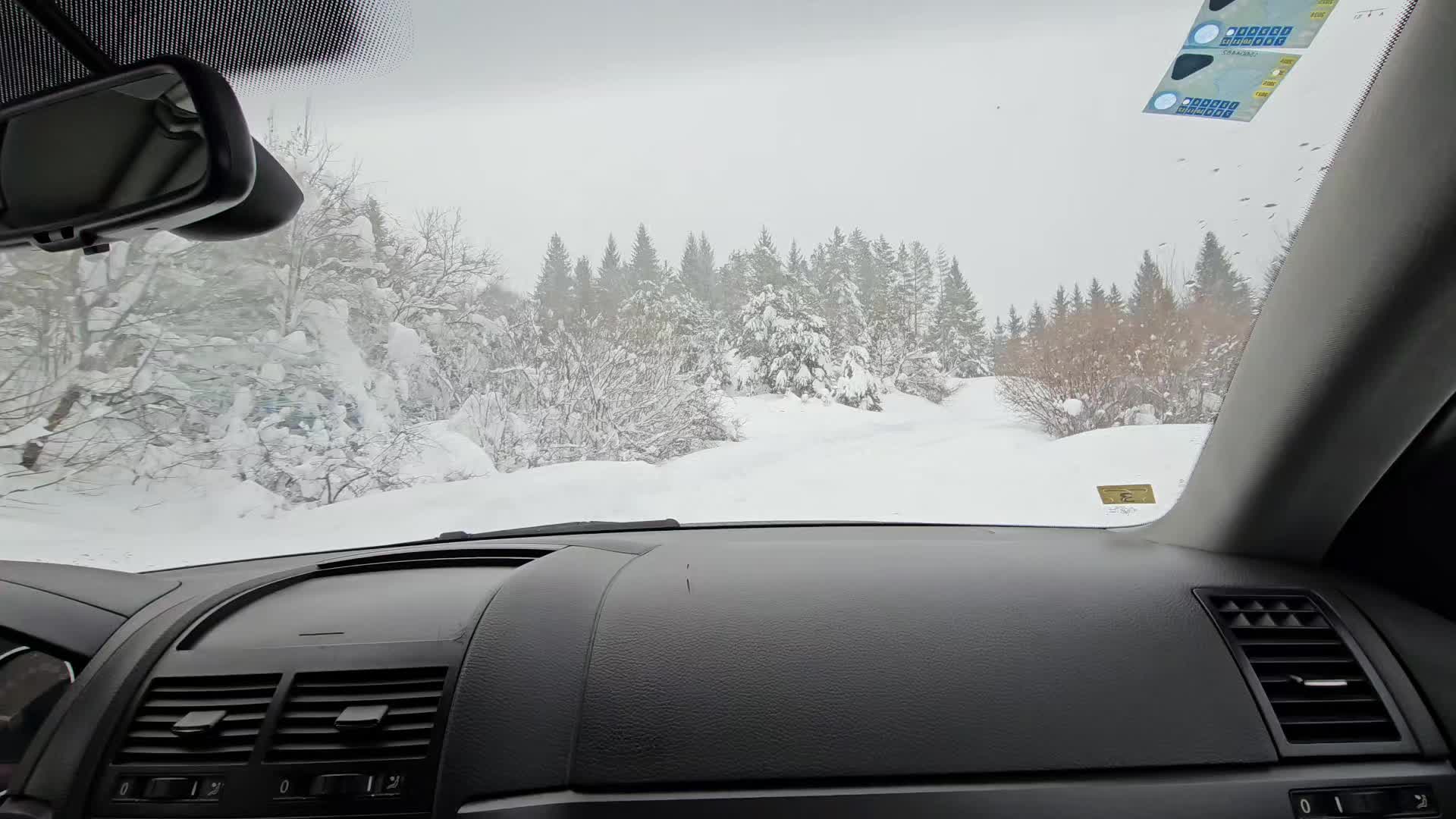 @Sara Turanovic