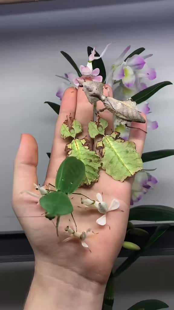 @JoeWavez🌿