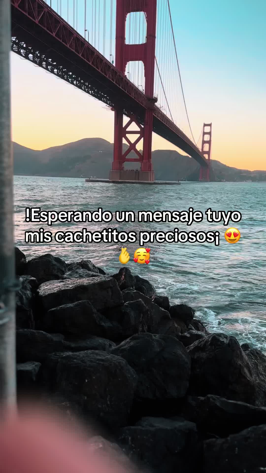 @FeliFeli