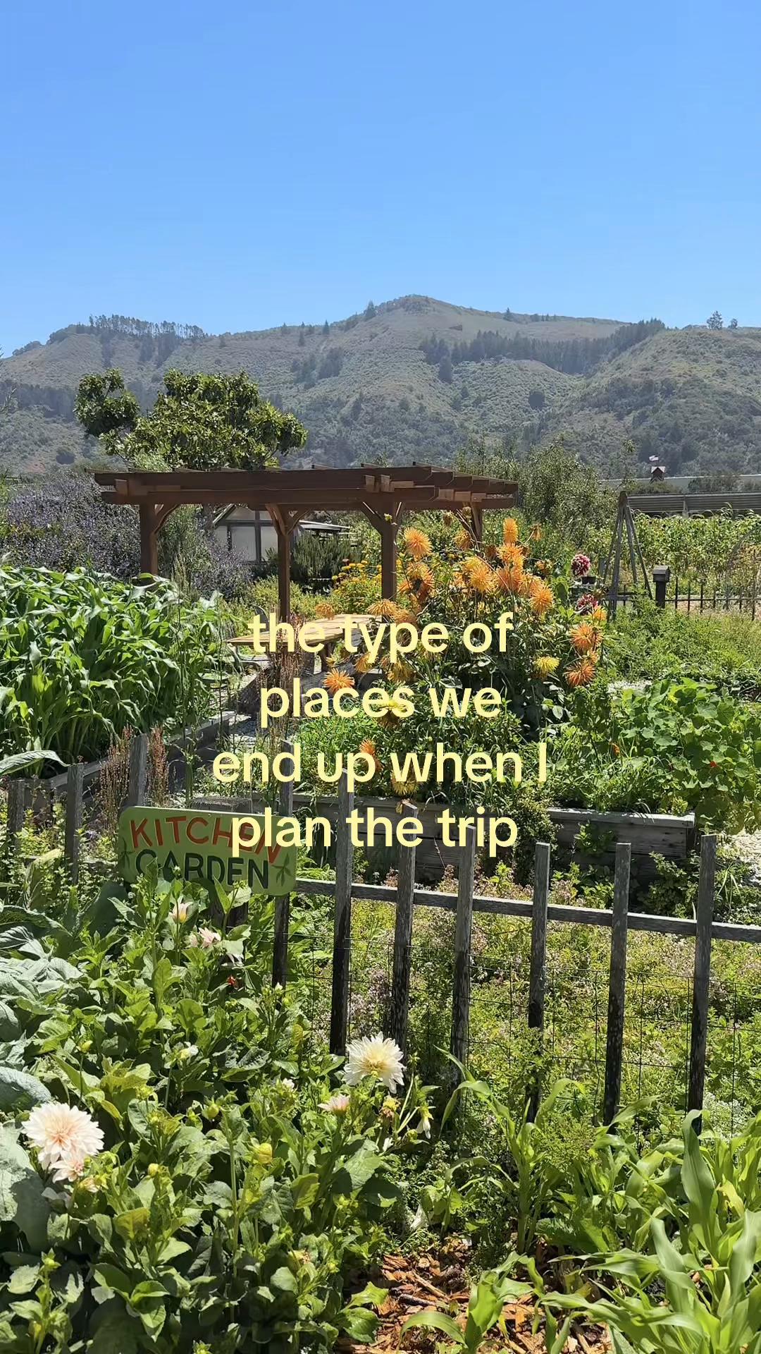 @Anne Murray | Dietitian
