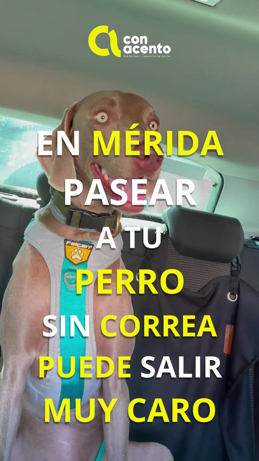 @Con Acento
