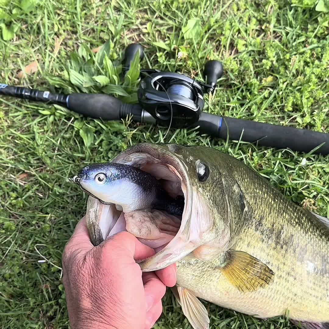 @Tacklehead Fishing