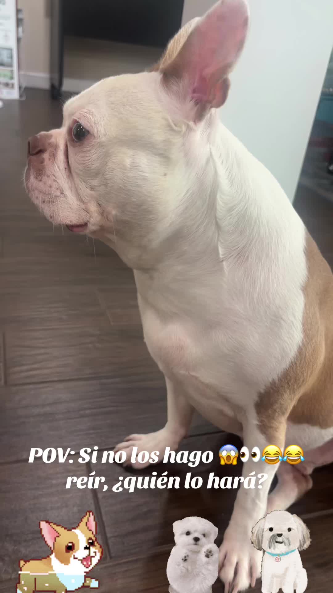 @los3huevertos