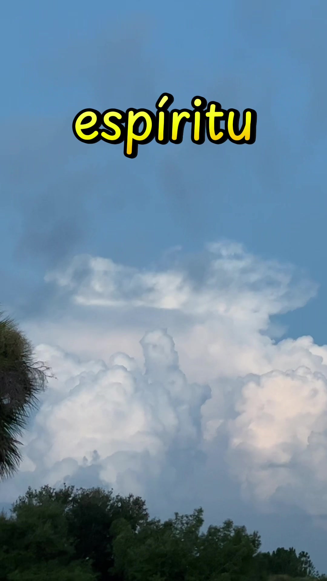 @masterzapata7dan