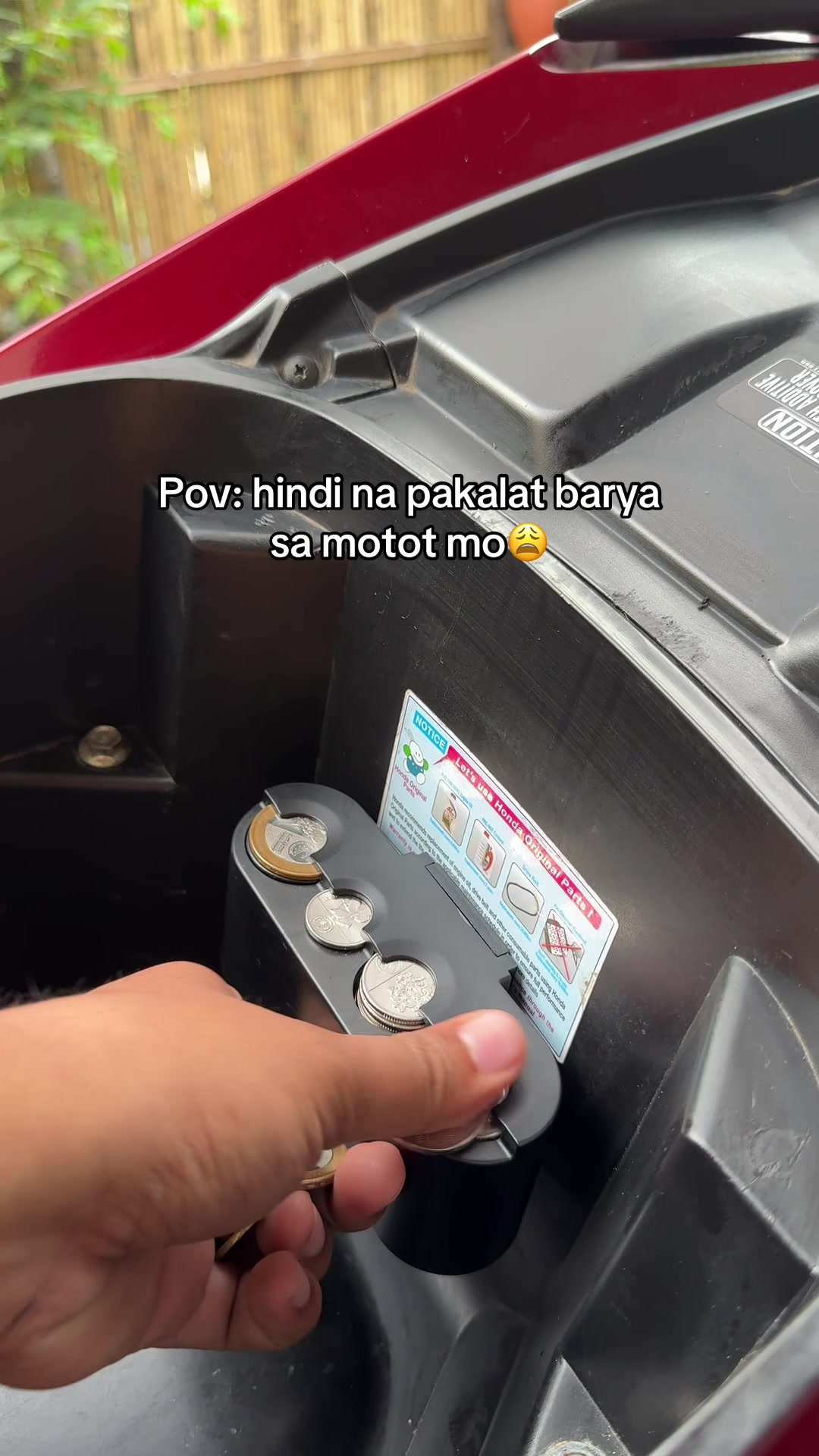 @Mikay