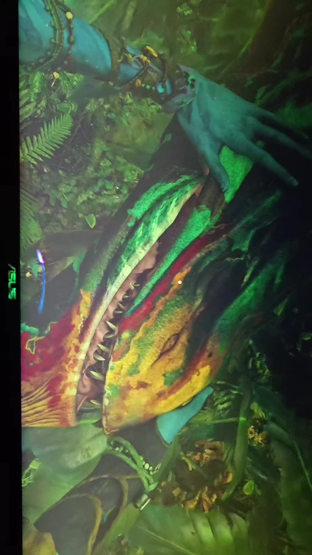 @Dragon1.